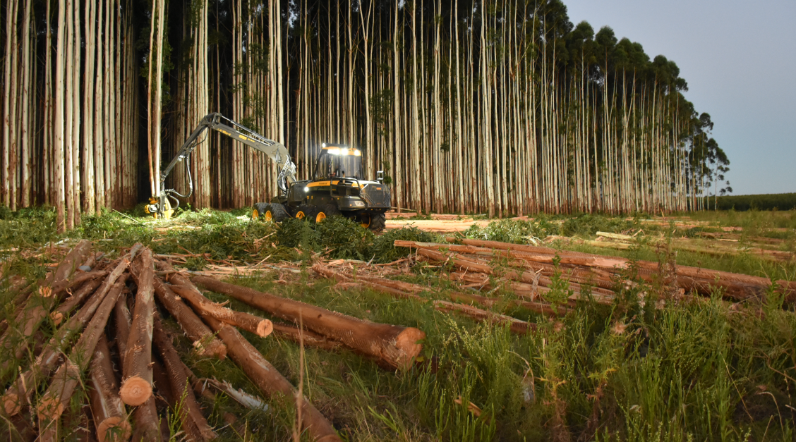 Fatores que interferem na produtividade da colheita florestal