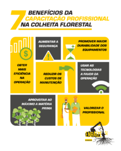 Infográfico Capacitação Profissional Florestal