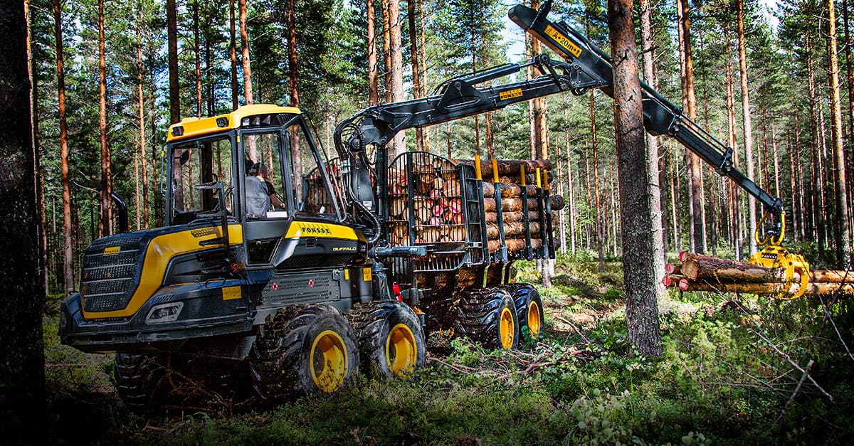 Máquinas florestais: quais são as melhores opções?