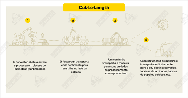 Cut To Length